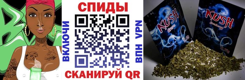 мориарти официальный сайт  Кедровый  БУТИРАТ буратино 