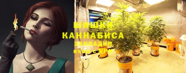 молекула духа Новокубанск