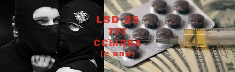 darknet как зайти  Кедровый  Лсд 25 экстази ecstasy  где продают  