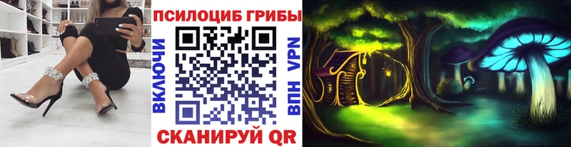 Галлюциногенные грибы Psilocybe даркнет сайт Кедровый