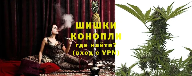 Бошки марихуана SATIVA & INDICA  Кедровый 